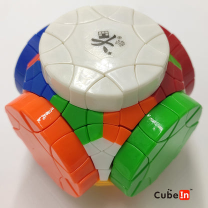Dayan 30-Axis Wheel Cube - Complex Mechanical Collector's Puzzle