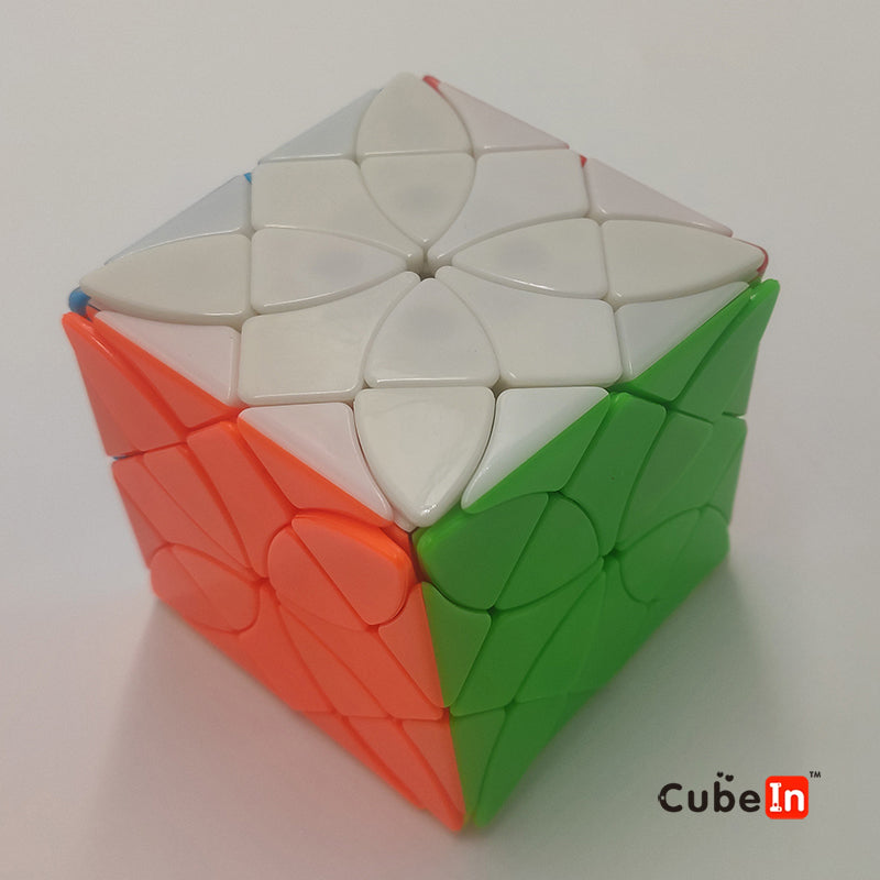 Limcube Morpho deidamia