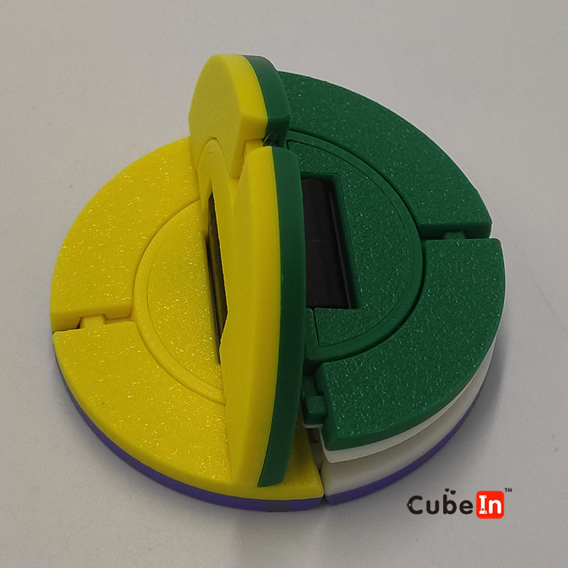 Roundy - Charlie Puzzle (3D Printed)