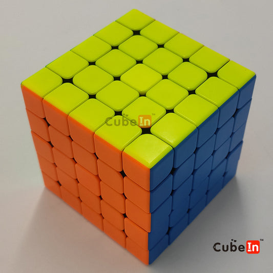 Diansheng Solar 5x5 M Plus