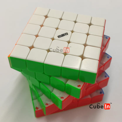 Diansheng Solar 5x5 M Plus