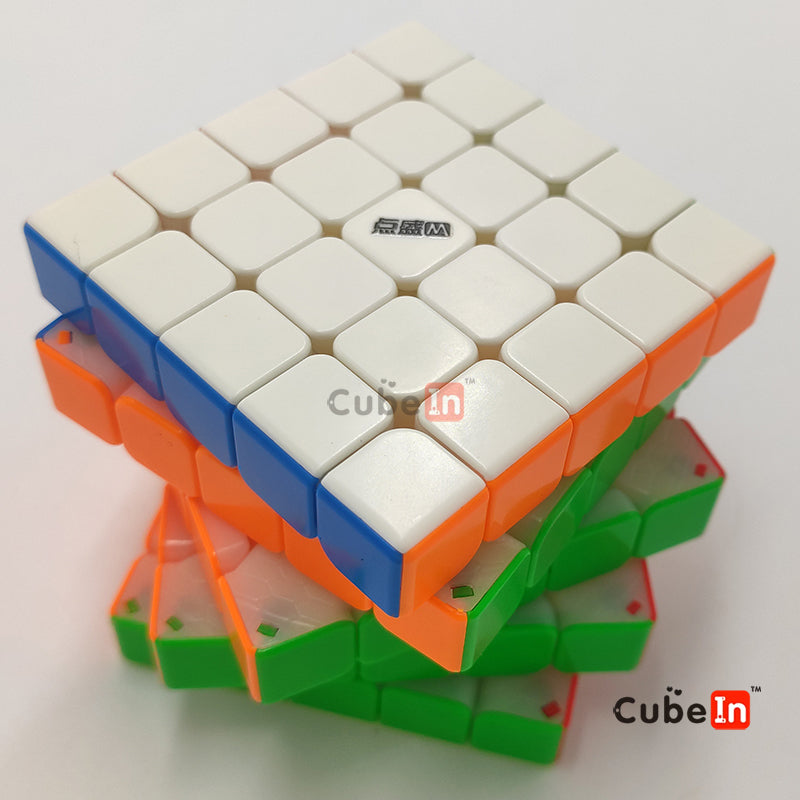 Diansheng Solar 5x5 M Plus