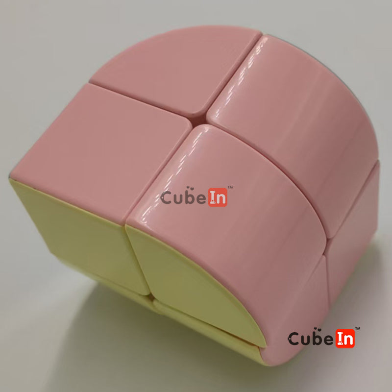 Diansheng Penrose 2x2