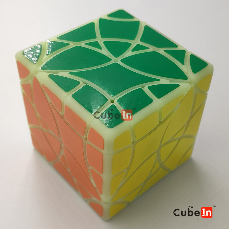 x² Stingray Copter Cube (3D Printed)