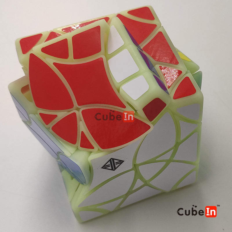 x² Stingray Copter Cube (3D Printed)