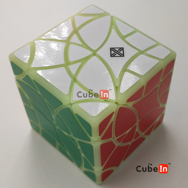 x² Stingray Copter Cube (3D Printed)