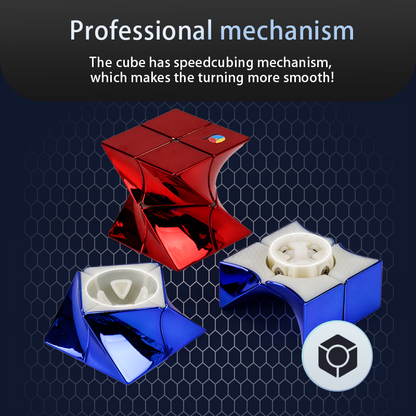 Diansheng Twisted 2x2