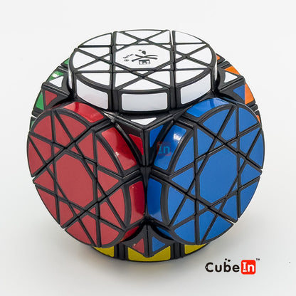 Dayan Wheel of Wisdom Cube