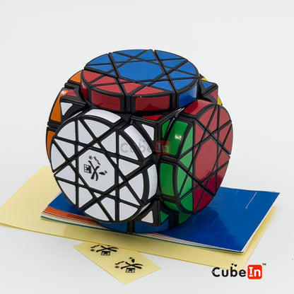 Dayan Wheel of Wisdom Cube