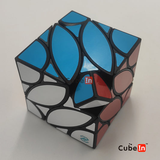 Zhecube Binocular Skewb V2