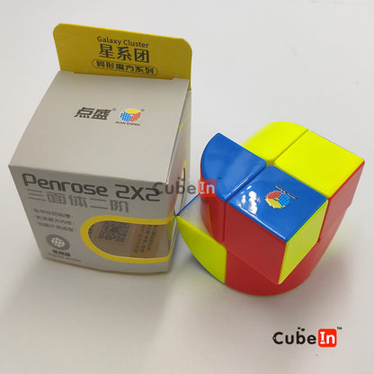 Diansheng Penrose 2x2