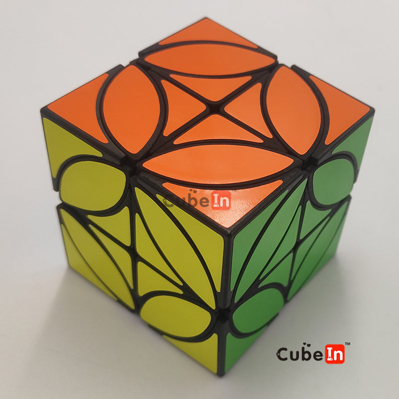 Zhecube 2x2 + Coin cube