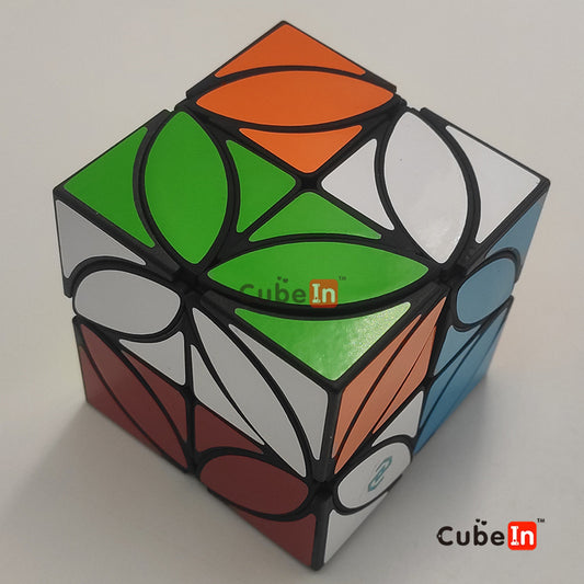 Zhecube 2x2 + Coin cube