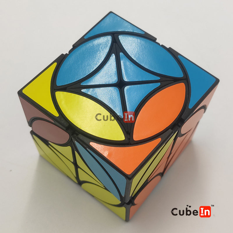 Zhecube 2x2 + Coin cube
