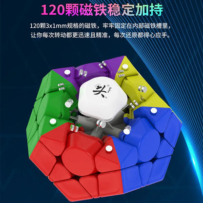 Dayan Megaminx v2 M Magnetic - CubeIn